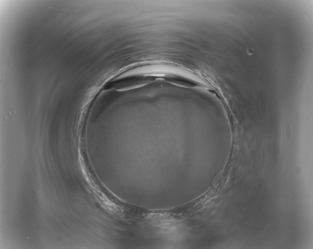 X0000066000145200603101539