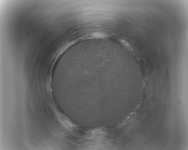 X0000066000146200603101539