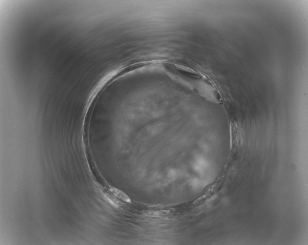 X0000066000147200603101539