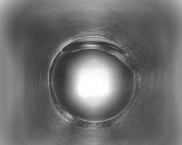 X0000066000148200603101539