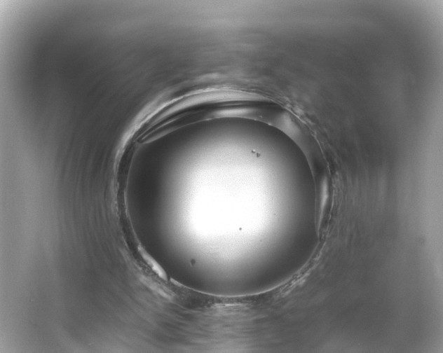 X0000066000150200603101539