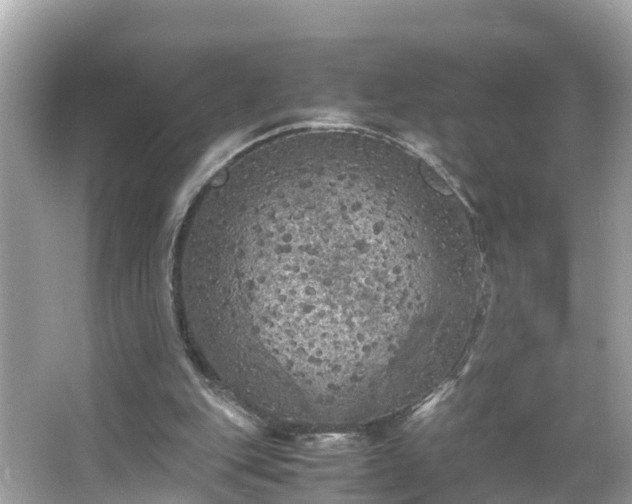 X0000066000151200603101539