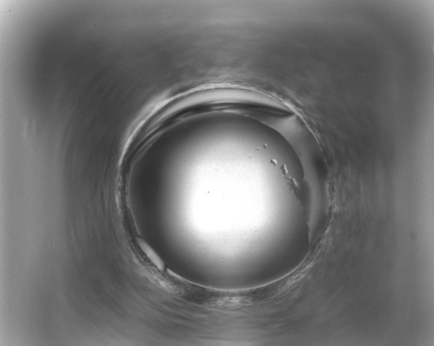 X0000066000152200603101539