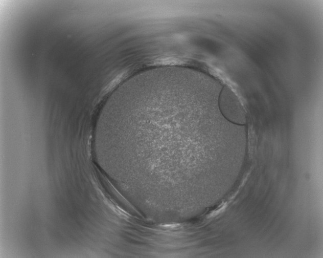 X0000066000153200603101540