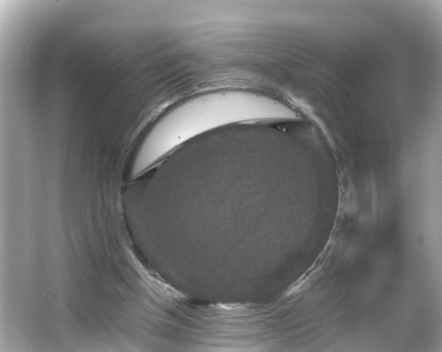 X0000066000154200603101540