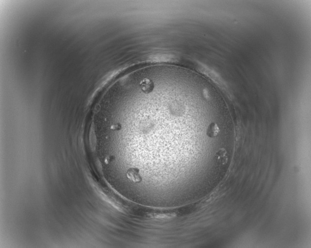 X0000066000155200603101540