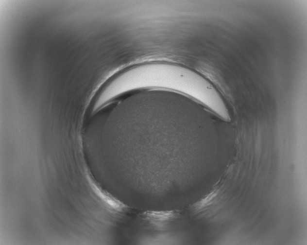 X0000066000156200603101540