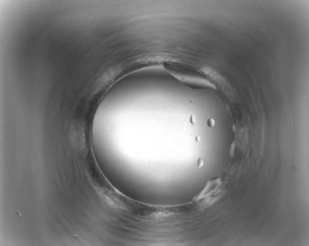 X0000066000158200603101540