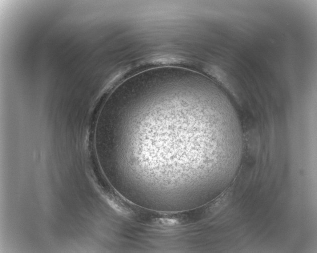 X0000066000159200603101540