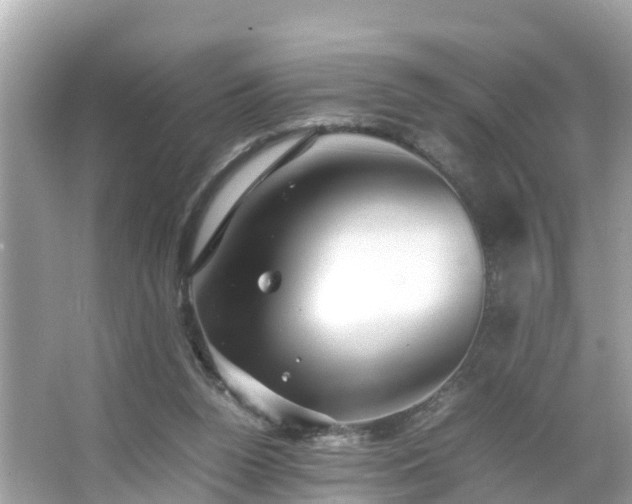 X0000066000160200603101540