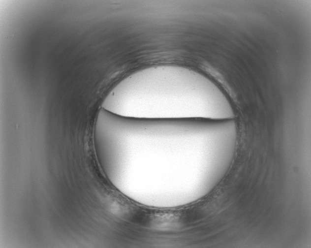 X0000066000161200603101540