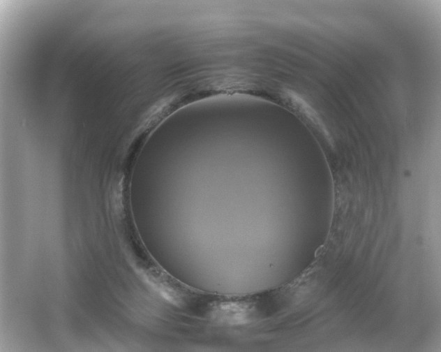 X0000066000163200603101540