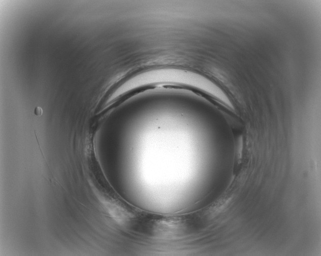 X0000066000164200603101540