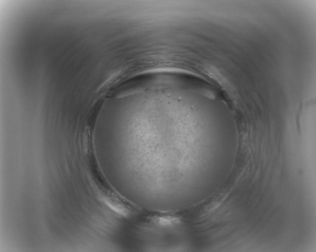 X0000066000165200603101540