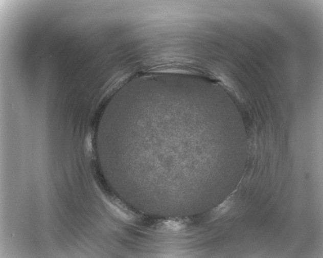 X0000066000166200603101540