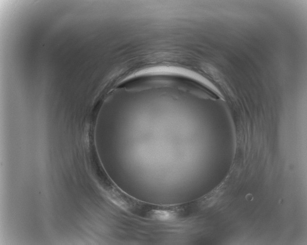 X0000066000167200603101540