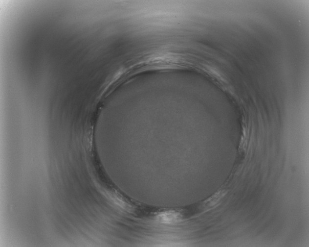 X0000066000168200603101540