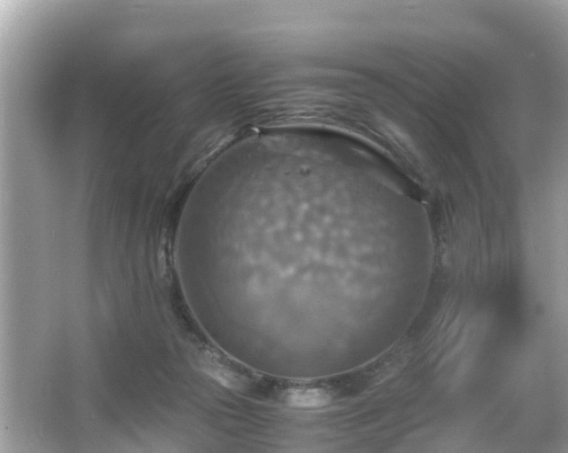 X0000066000169200603101540