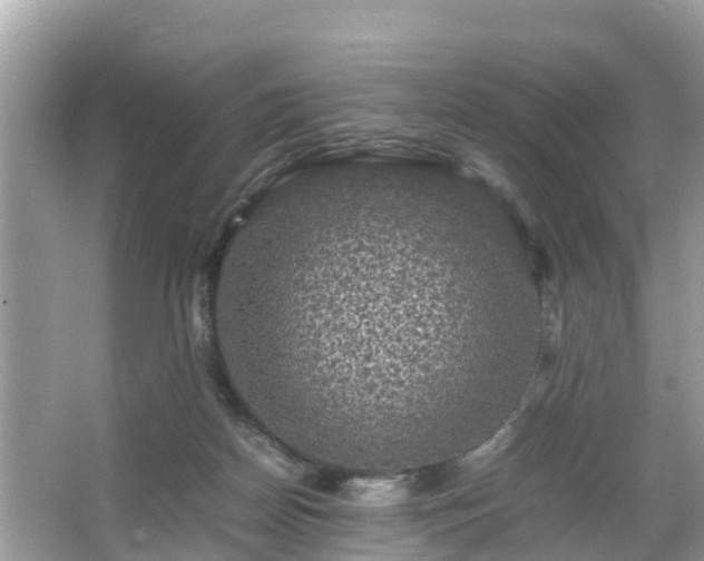 X0000066000170200603101540