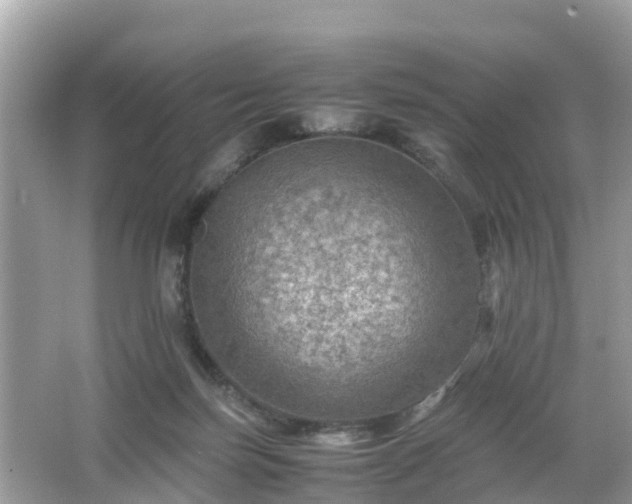 X0000066000171200603101540