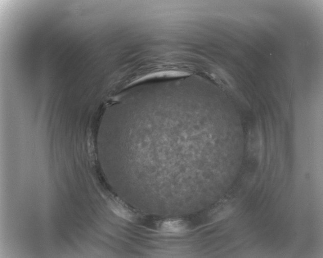 X0000066000173200603101540