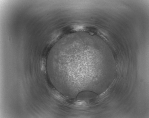 X0000066000175200603101540