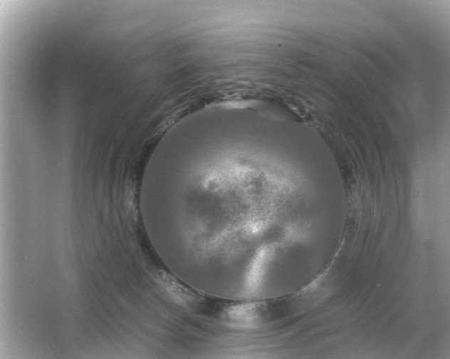 X0000066000178200603101540