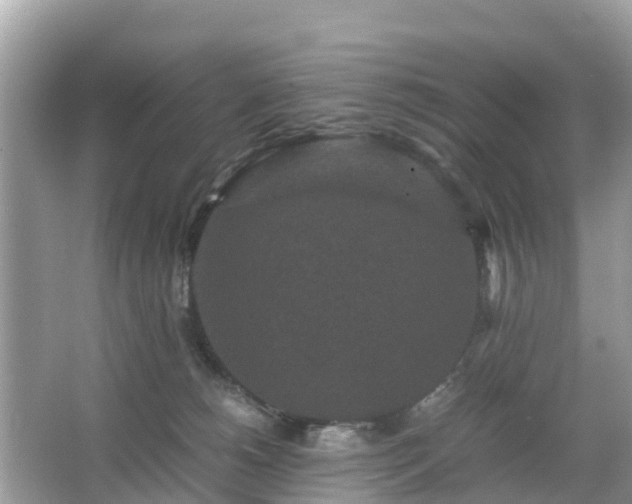 X0000066000180200603101540