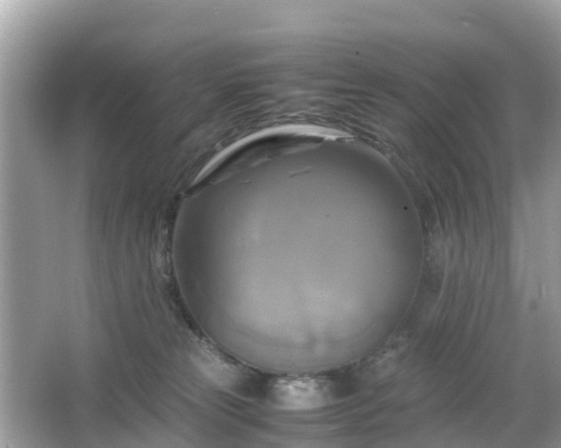 X0000066000181200603101540