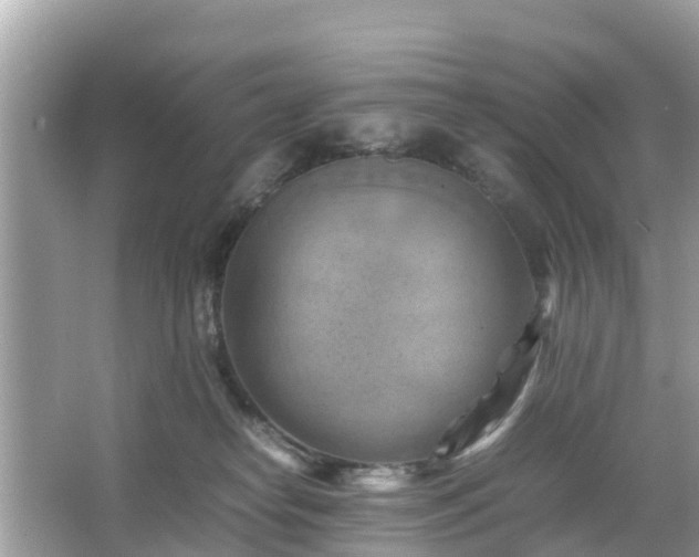 X0000066000182200603101540