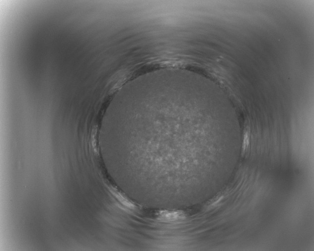 X0000066000185200603101540