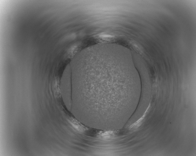 X0000066000186200603101540