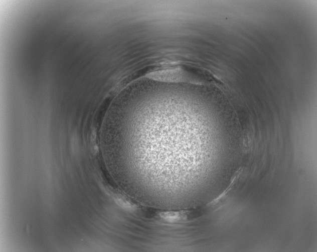 X0000066000187200603101540