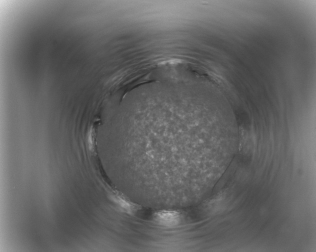 X0000066000189200603101540