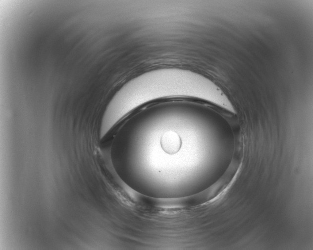 X0000066000190200603101540