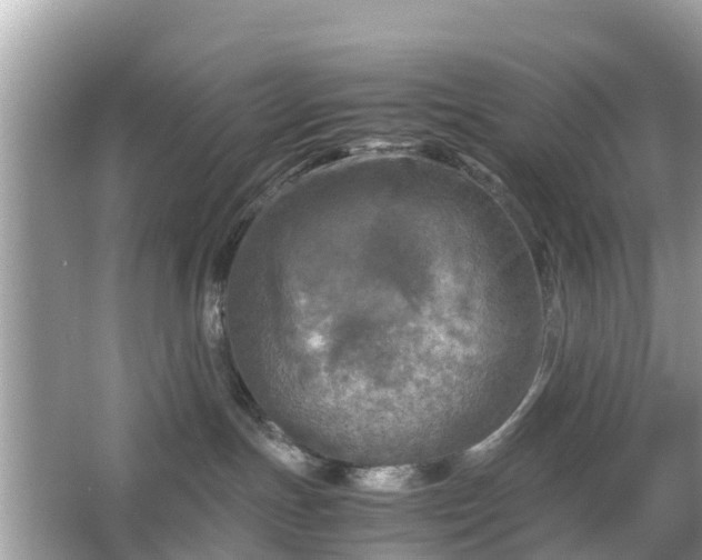 X0000066000191200603101540