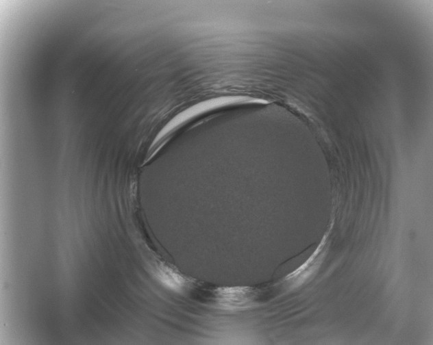 X0000066000192200603101540