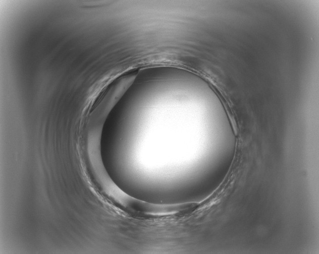 X0000066000193200603101539