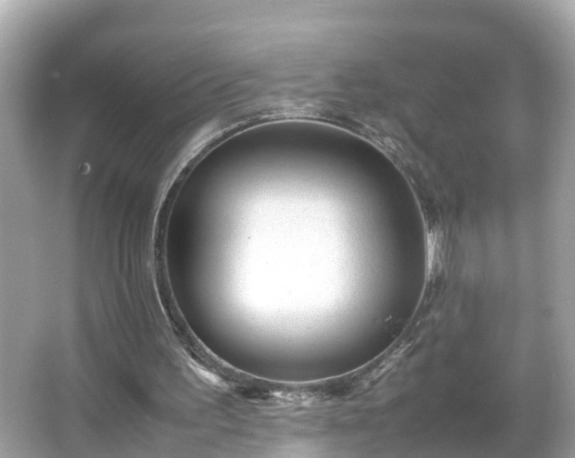 X0000066000195200603101539