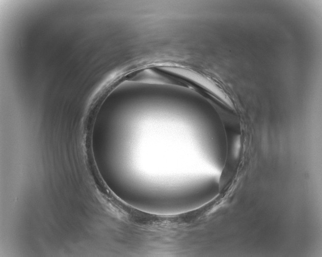 X0000066000197200603101539