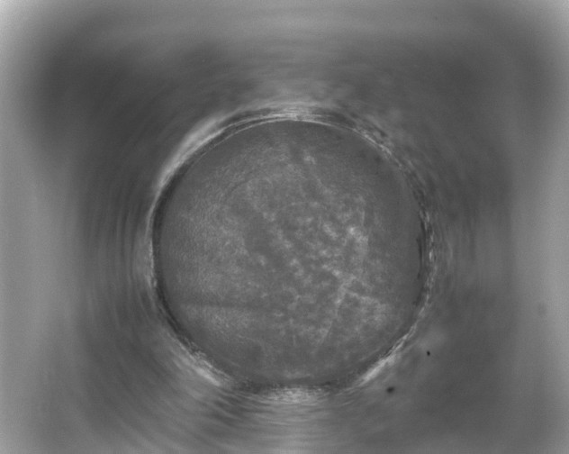 X0000066000198200603101539