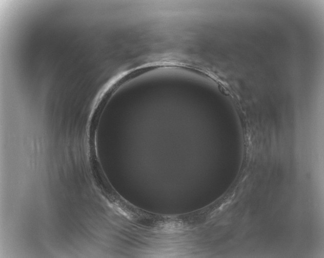 X0000066000200200603101539