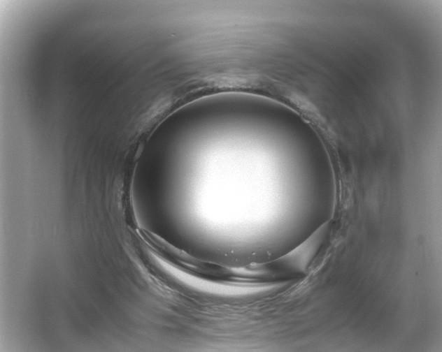 X0000066000201200603101539