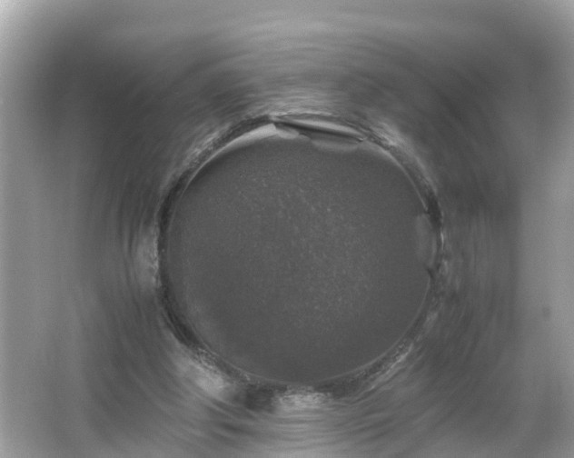 X0000066000202200603101539