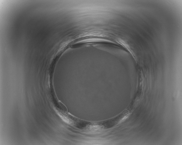 X0000066000205200603101539