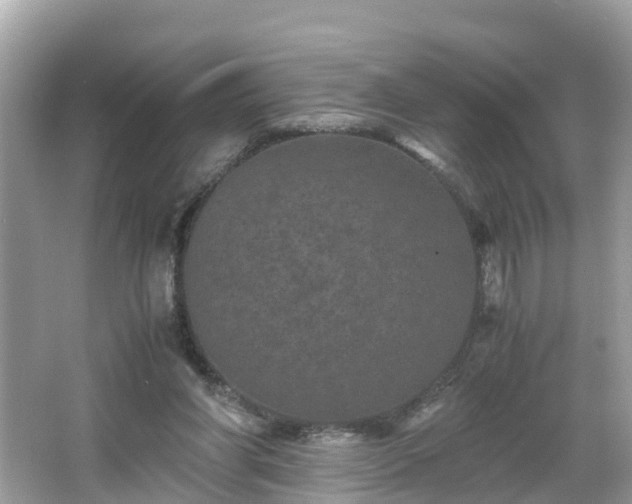 X0000066000206200603101539