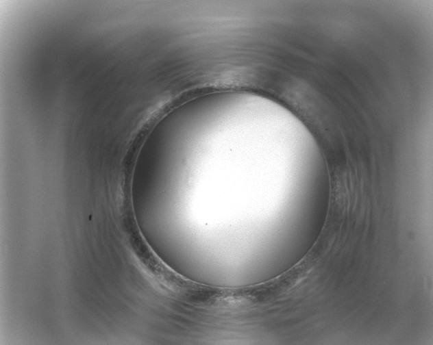 X0000066000208200603101539