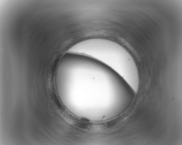 X0000066000209200603101539