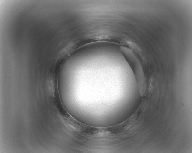 X0000066000210200603101539