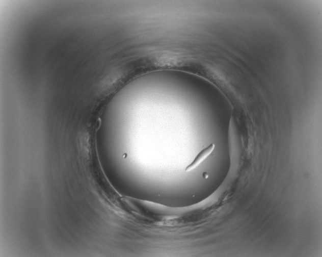 X0000066000211200603101539